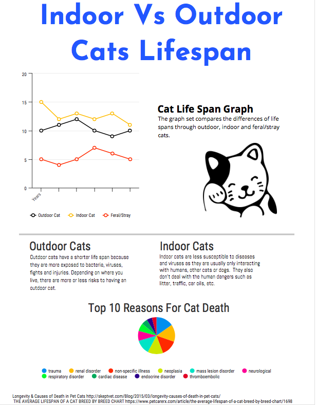 average life expectancy of an outdoor cat